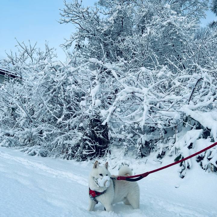 Cb3e5f76 53bd 4f1a b30d d4a04d03dfc8 1765232392596