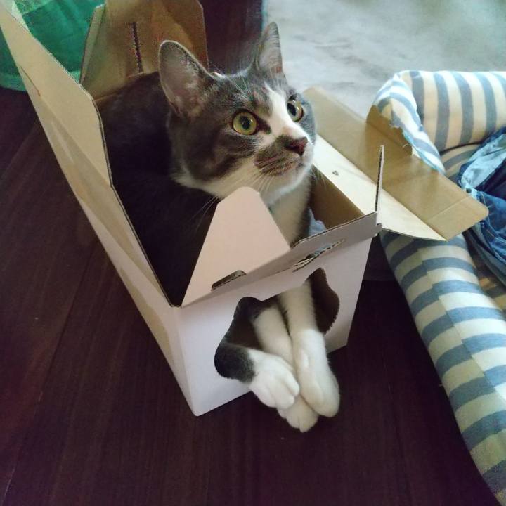 Cb3e8dbc 1d5c 4a2d 9c42 41650f593c00 1599954507977