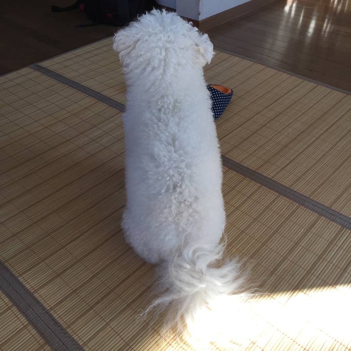 Cb3eadbd 8557 44ee 8849 80f25e71864b 1538521259983