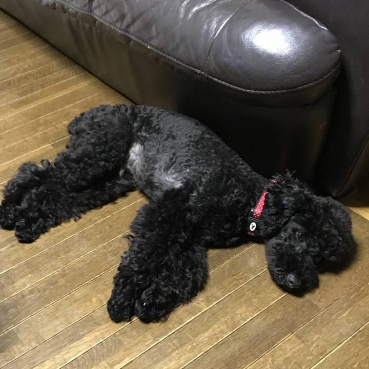 Cb3eb246 23dd 4f9d be93 2bd286750b4d 1558961761011