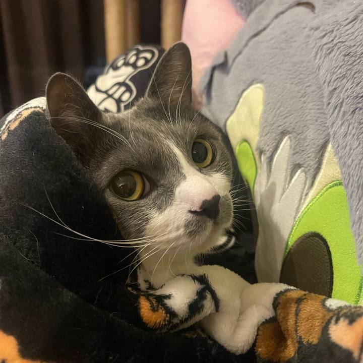 Cb3ed8b1 0766 4909 8c37 06bd9fc937e0 1704962772677