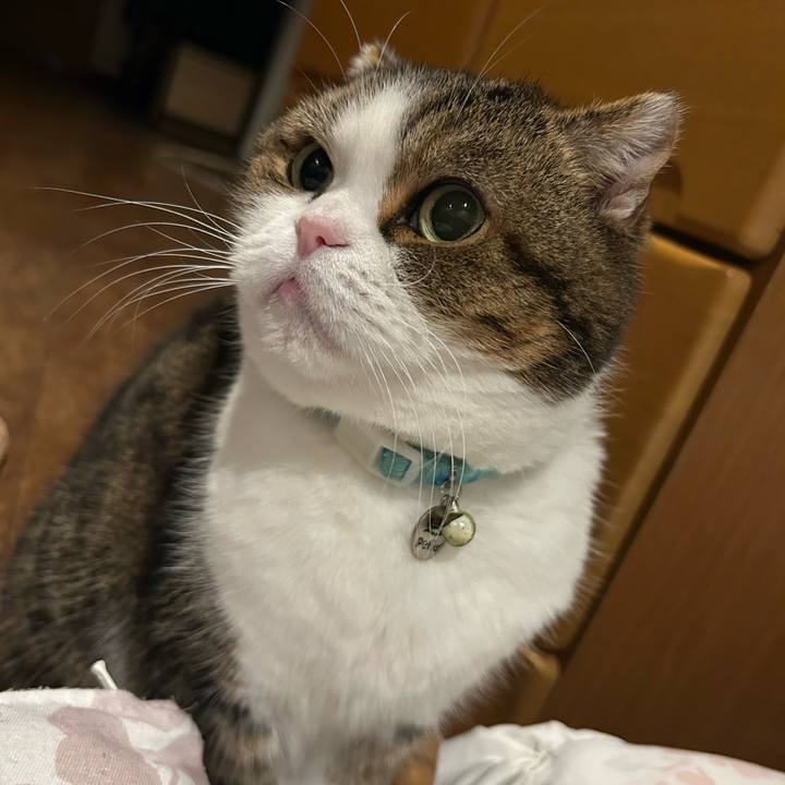 Cb3edf27 37ef 4fa0 845c dc2821d11f86 1768048120088