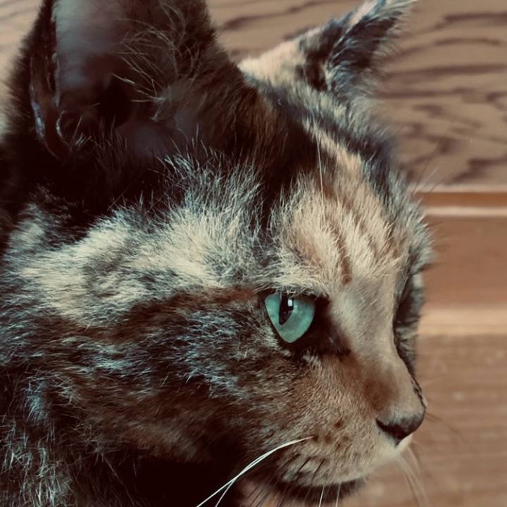 Cb3f1137 7230 46fe a9d0 3e1df2d3fe05 1756346493161