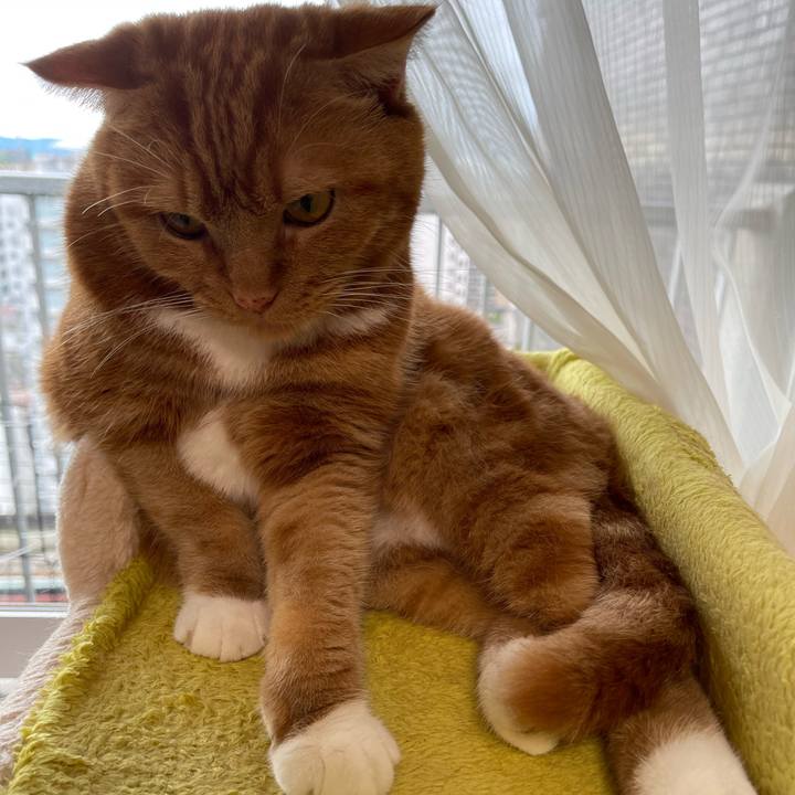 Cb3f2509 c5d6 450c b029 fe36870f2e7c 1663905378165