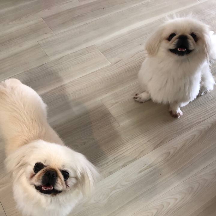 Cb3f4b95 6bd9 44b9 894b 6207577a4f92 1532763303277