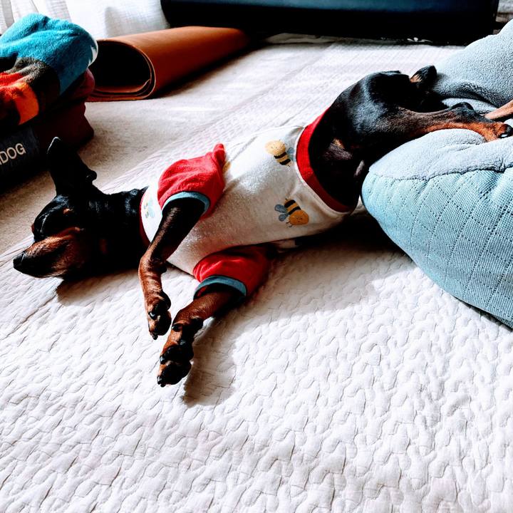 Cb3f57f5 45be 4ea6 a055 657adef51d9e 1700956480671