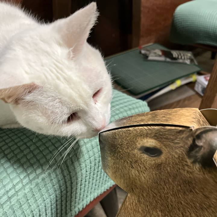 Cb3f6008 a716 494d a70a 3406cff0a357 1772364671031