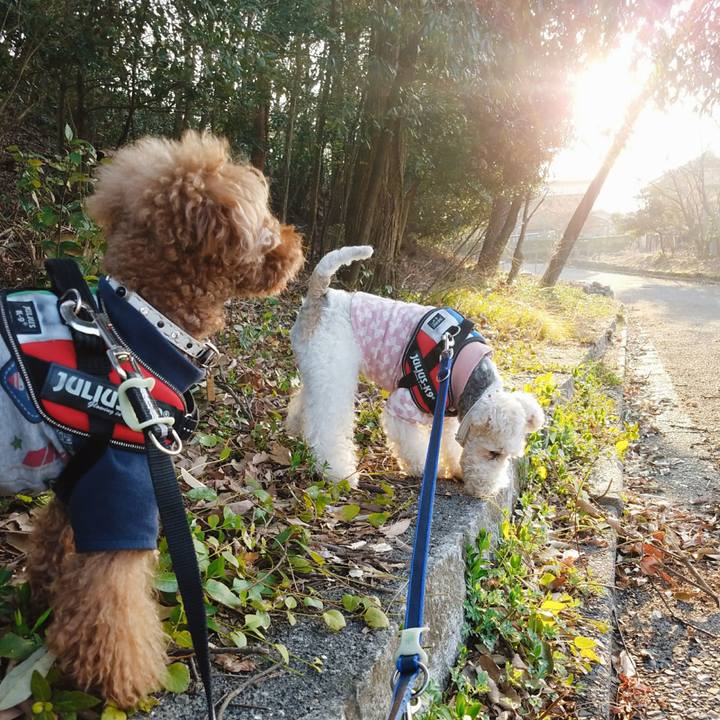 Cb3f7fae f128 41be 86f6 958c2a76246e 1520983068762