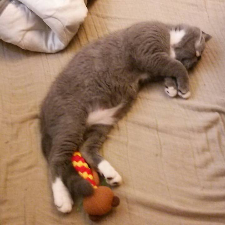 Cb3fbd09 fd54 4e5e bc9f 3d4e358aea9e 1534562607884