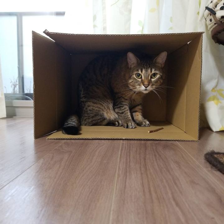 Cb3fc7b0 d7cd 4ec9 868c cf8120522904 1585601769300