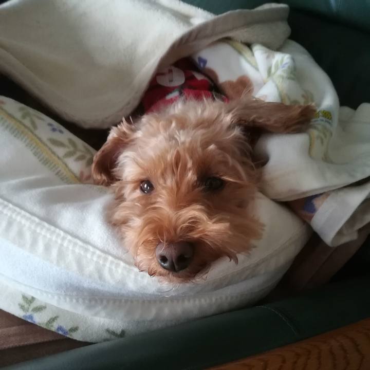 Cb3fccd6 8a39 43b9 bdee c166dc37a8b1 1549930022820