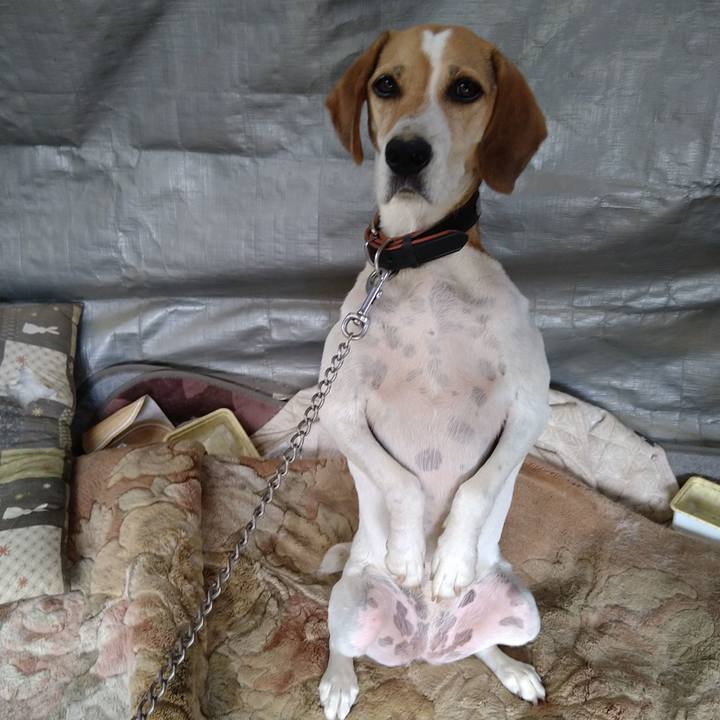 Cb3fd2db 2e01 4fd1 a93c 5baa86927de6 1661661111549