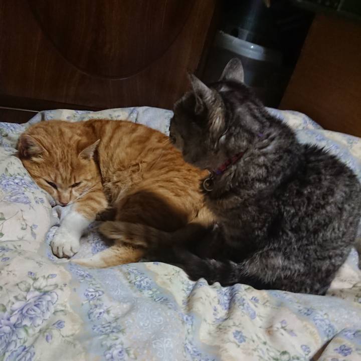 Cb3fd387 129c 46df b951 bd01c9ec85fd 1582719499006