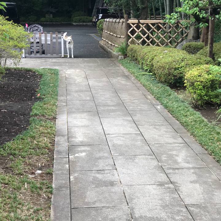 Cb3ff6ae 35c4 4d0d 8d58 e22b7232ba98 1529128693324