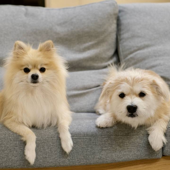 Cb404624 4c4a 4a39 82c8 53db46b11d01 1766874980943