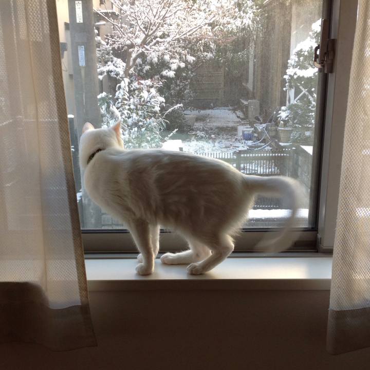 Cb408d9e 5c97 4a2c a5aa 010dd4518a34 1641515467987