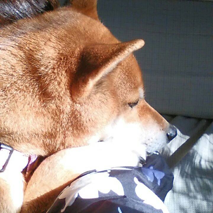 Cb410dac 6844 49ba a761 9bb1b2afe72b 1515728718312