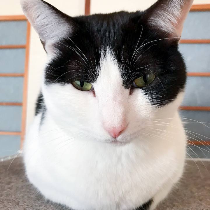 Cb415891 8d29 4cd4 93b7 d55989dc24b5 1513642869182