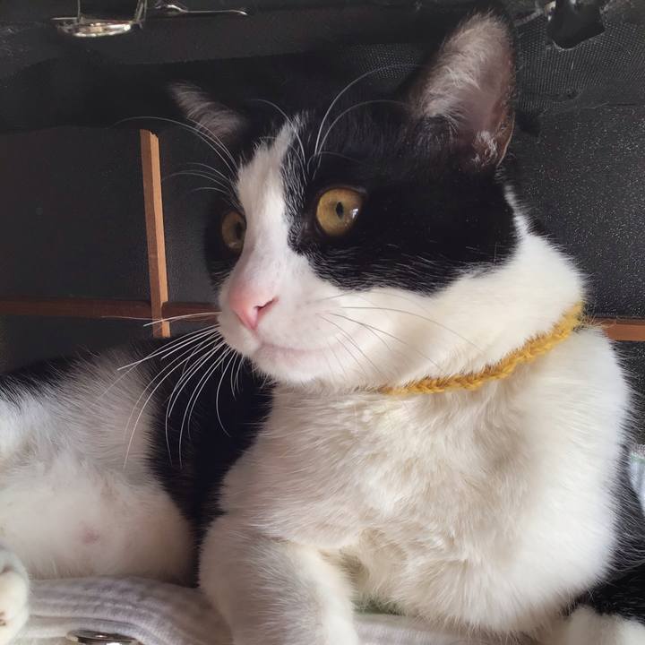 Cb41649d 03e2 4b0a 9b4d f42568851ca3 1646193358398