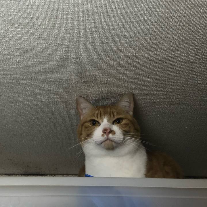 Cb41c4d3 879d 4b6b 83cc 61c25ff5518d 1607950924687