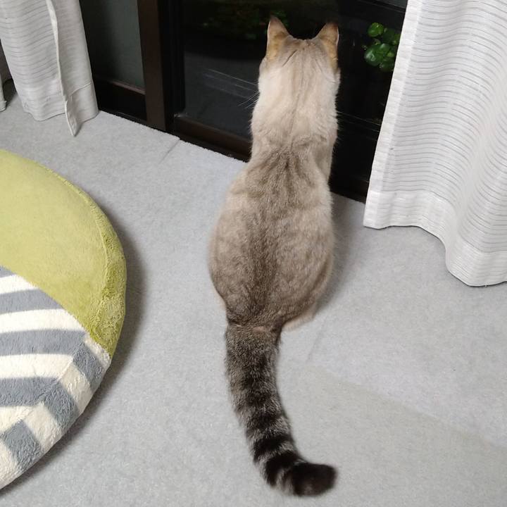 Cb41f2b1 2db9 4826 ae2c 4ea20ca7322b 1619784736228