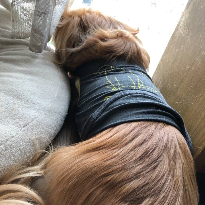 Cb41f6e4 5aad 4402 9030 2b26a5422523 1553989391102