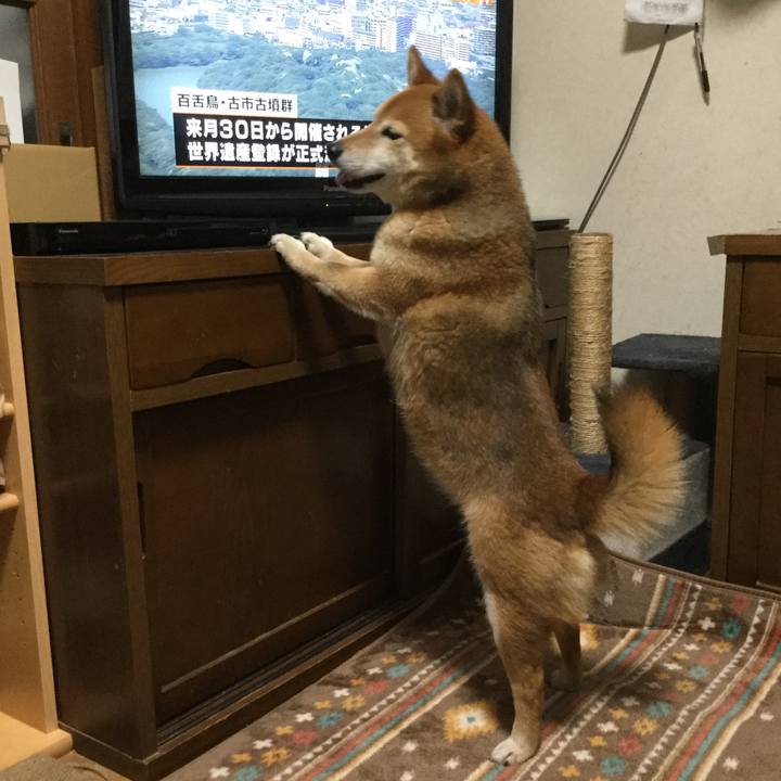 Cb420670 a8b7 4605 9626 ba91781c4a49 1557824357850