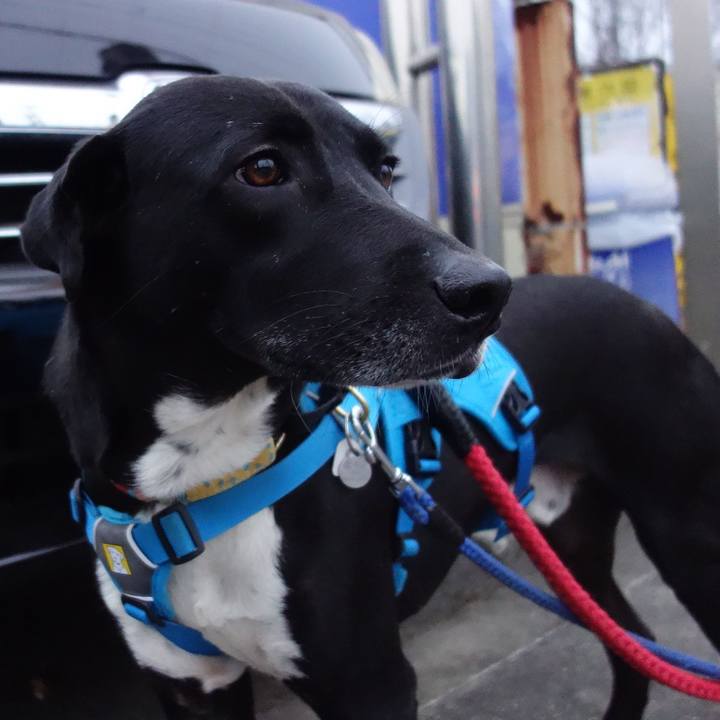 Cb420b9c c6e8 491e ba93 d4f5aa1be7d9 1611360828339