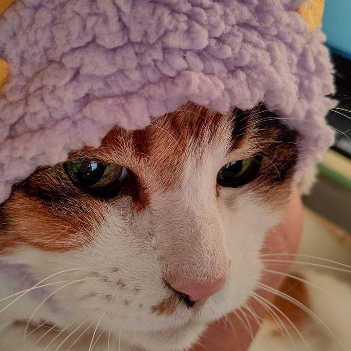 Cb4213f5 49af 4484 a268 5844e0b10f77 1646266977669