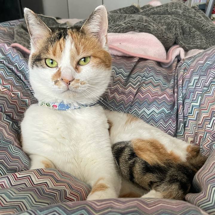 Cb421c91 5a80 4d70 83ca c7000b08ea1e 1708058101172