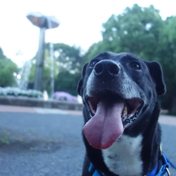 Cb421d5f f152 4001 a1e1 cf314f4c1a2f 1692355310814