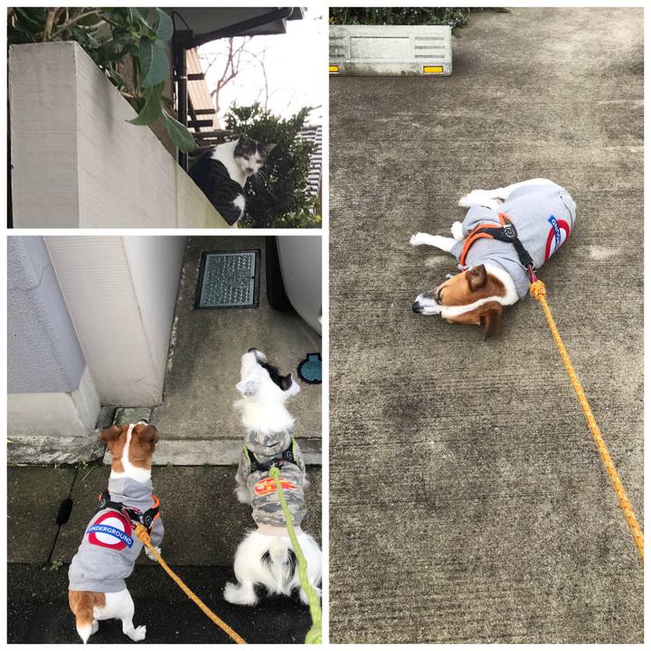 Cb422b1d a514 40b3 ade7 0c9be303327b 1544144325413