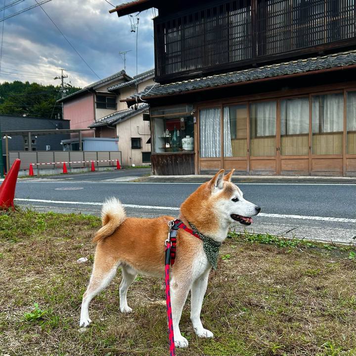 Cb42340b a750 4f5d be00 2a064255a26c 1760957228075