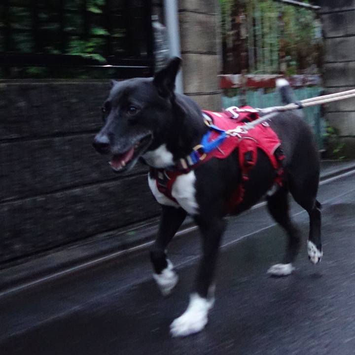 Cb425777 94e2 46de ac57 ab1f6e27406c 1657883628943