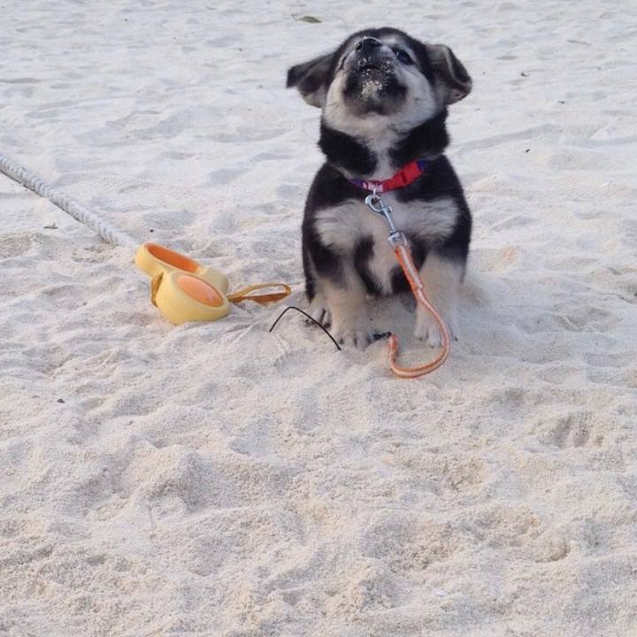 Cb427712 bb1a 464d a38c 3b9f05aca4eb 1585035755688