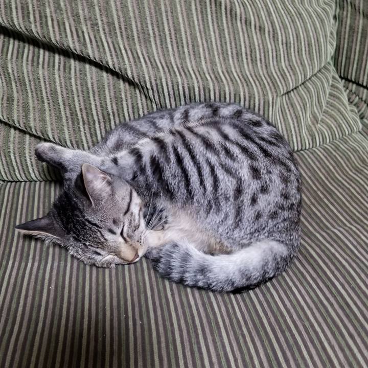 Cb42a7e4 1402 469d 83ee 792d8c00b47e 1673315925527