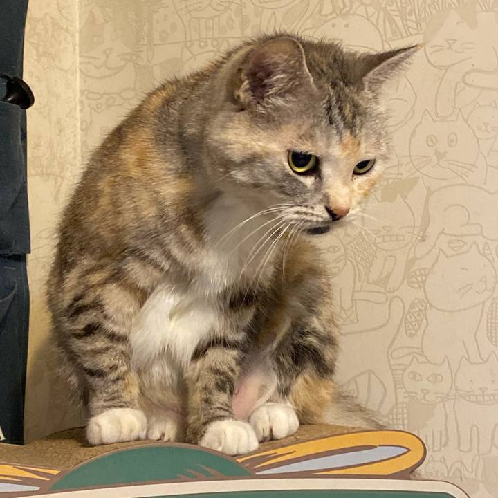 Cb42b02d 8abd 4292 b048 75b0b3adaeb7 1633553814688