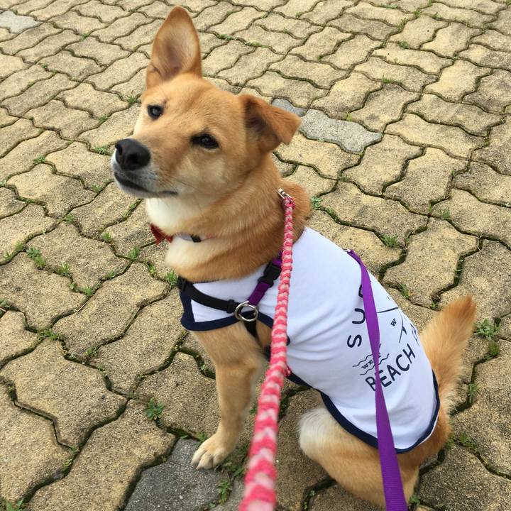 Cb42cc65 418f 482f 94ca 2b2dc121bd85 1529019232693