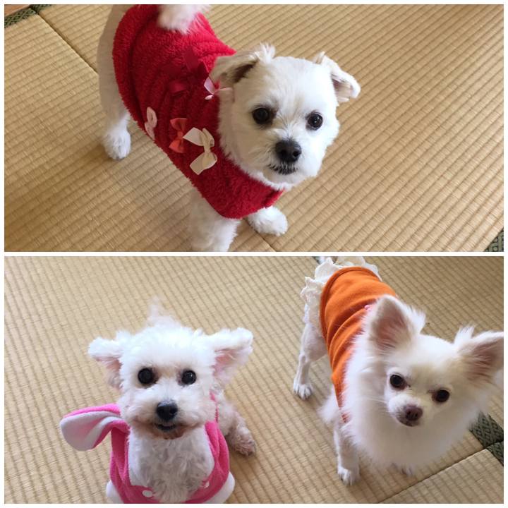 Cb42f7d0 db20 483e b43e 983e83507cab 1548655002213