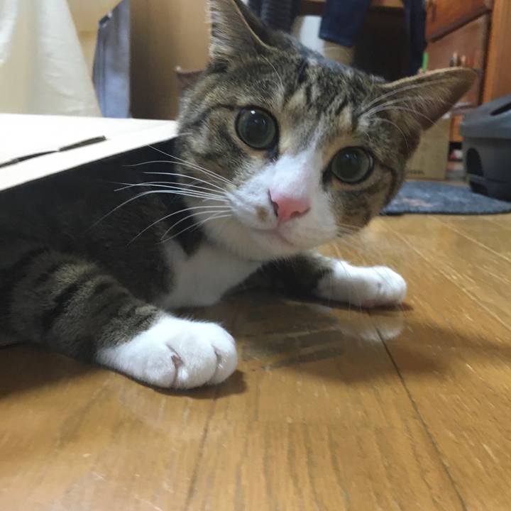 Cb430cf1 adee 4fbb 8e3d b0b20de46897 1671684622543