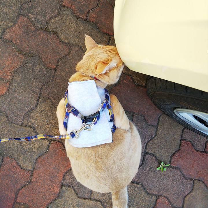 Cb430dbf 3564 4d92 a77a b913693f72e9 1587252125664