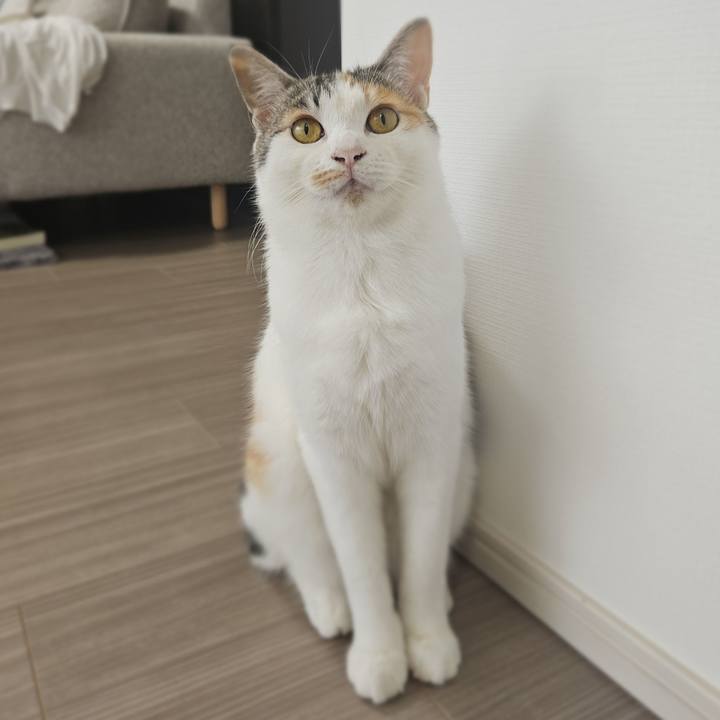 Cb432684 b4af 439c 8542 94313529c383 1759537016510