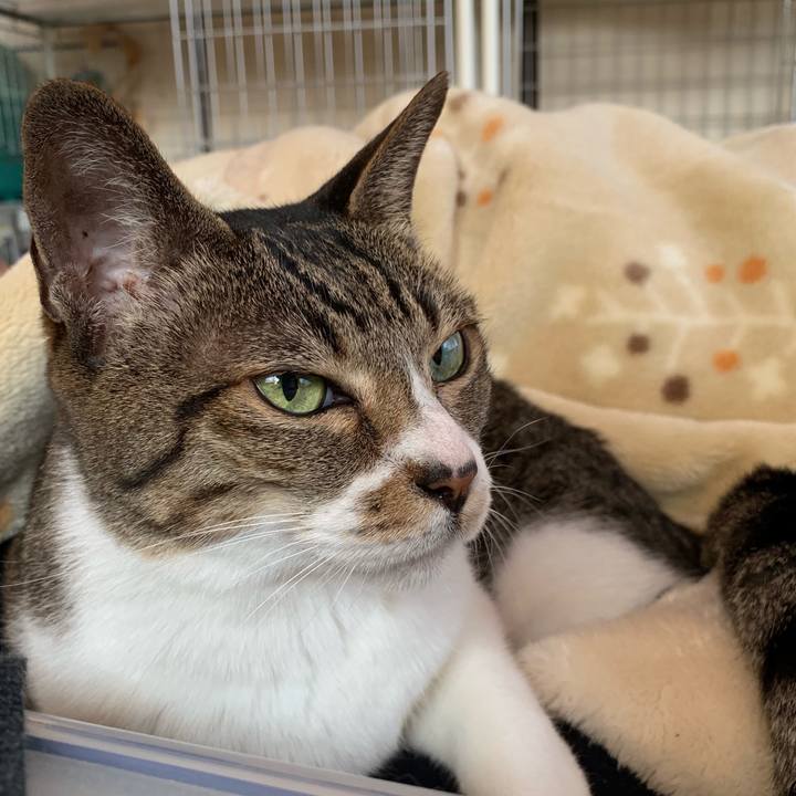 Cb433429 4d8d 4e79 9c86 f66fd97881c5 1541725488499