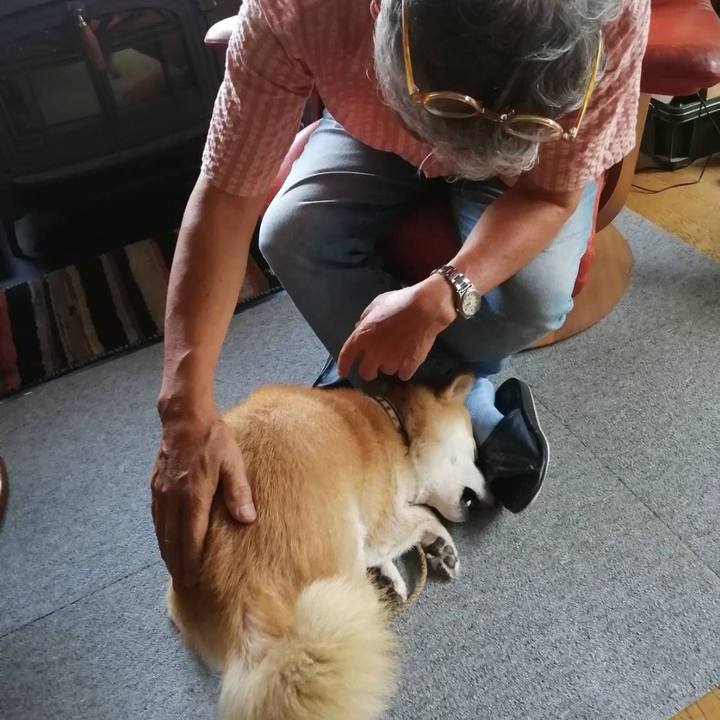 Cb43657a 00b9 4caa 98d9 6ec501424adc 1595317339237