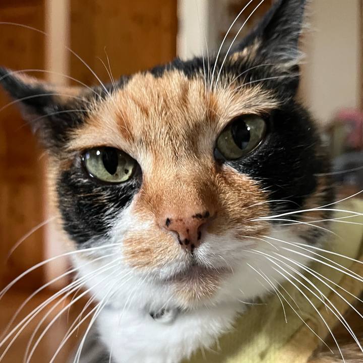 Cb43b403 cd73 466f 9074 77c0c499443a 1734938517370