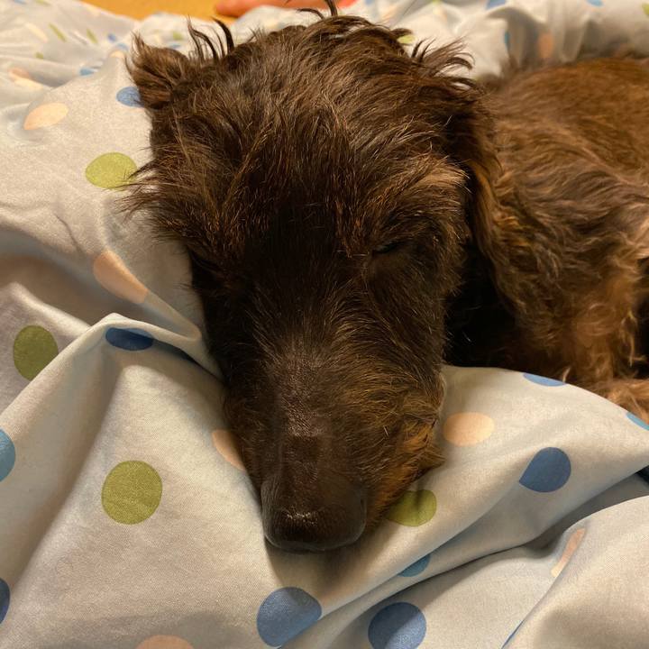 Cb43de50 2b7e 4b07 a64b 50613b303998 1572538393849