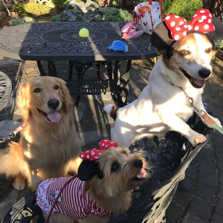 Cb443eda 0d23 4bb8 a3f2 5198eedcf323 1528382162276