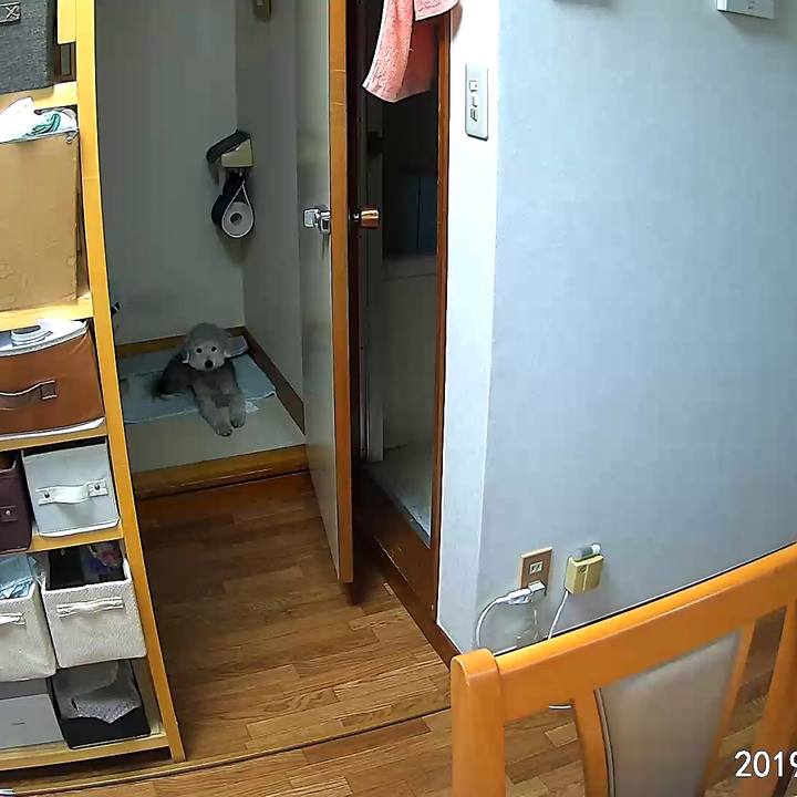 Cb44543e 745f 48fb 8101 8191c2e552cb 1562581493045