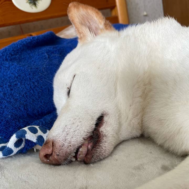 Cb449586 e44c 4643 91ec 2e9084e826cd 1636854837419