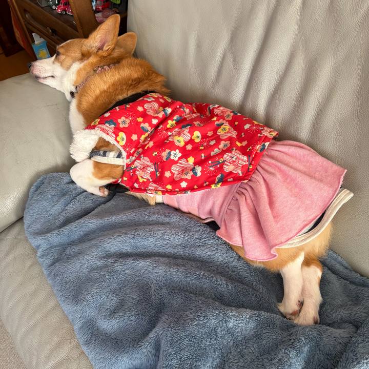 Cb44bca1 95e0 4238 8c70 178c1714be0f 1770952437086